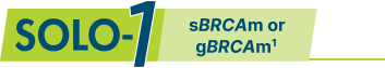 SOLO-1 in sBRCAm or gBRCAm