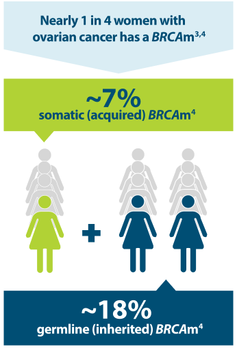 Nearly 1 in 4 women with ovarian cancer has BRCA mutations diagram
