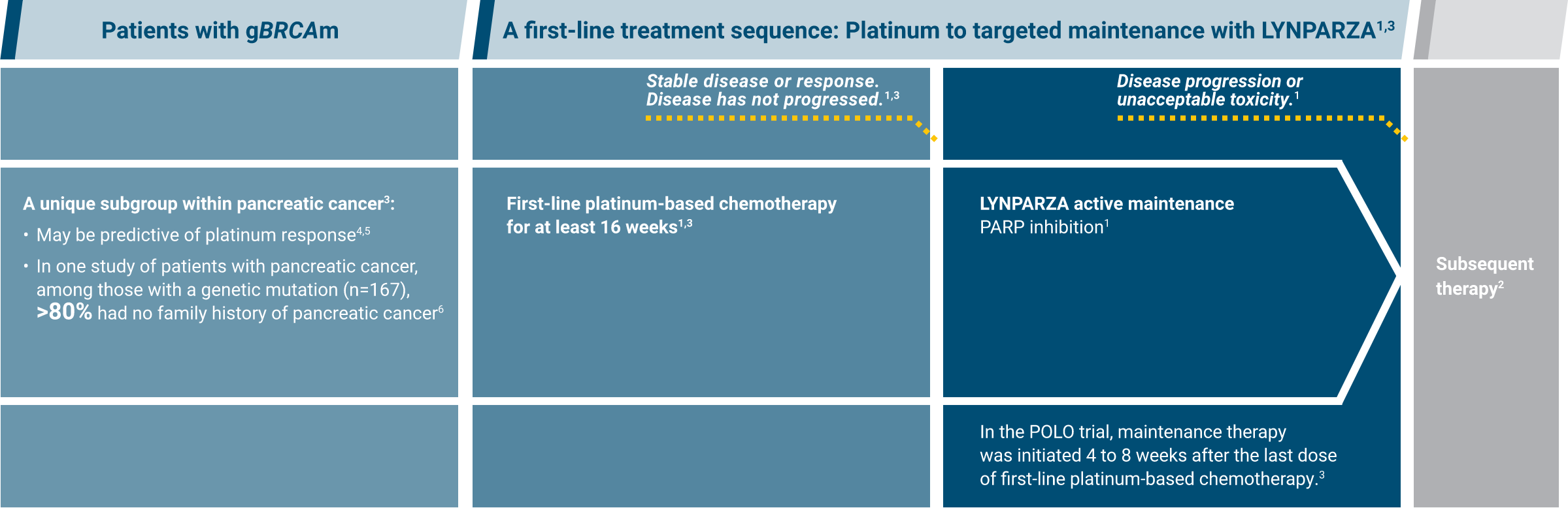 Pancreatic Cancer Treatment Paradigm Graphic