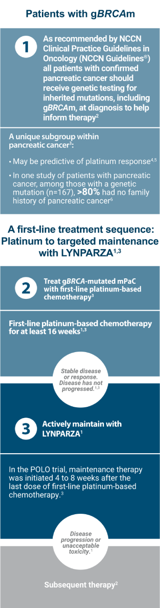 Pancreatic Cancer Treatment Paradigm Graphic