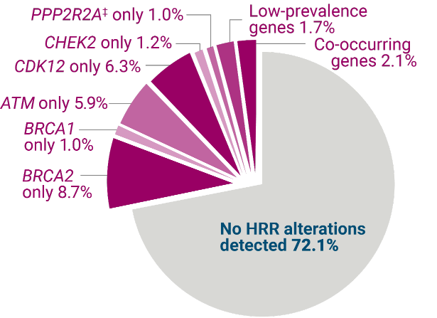 mCRPC Testing PROfound Trial Pie Chart