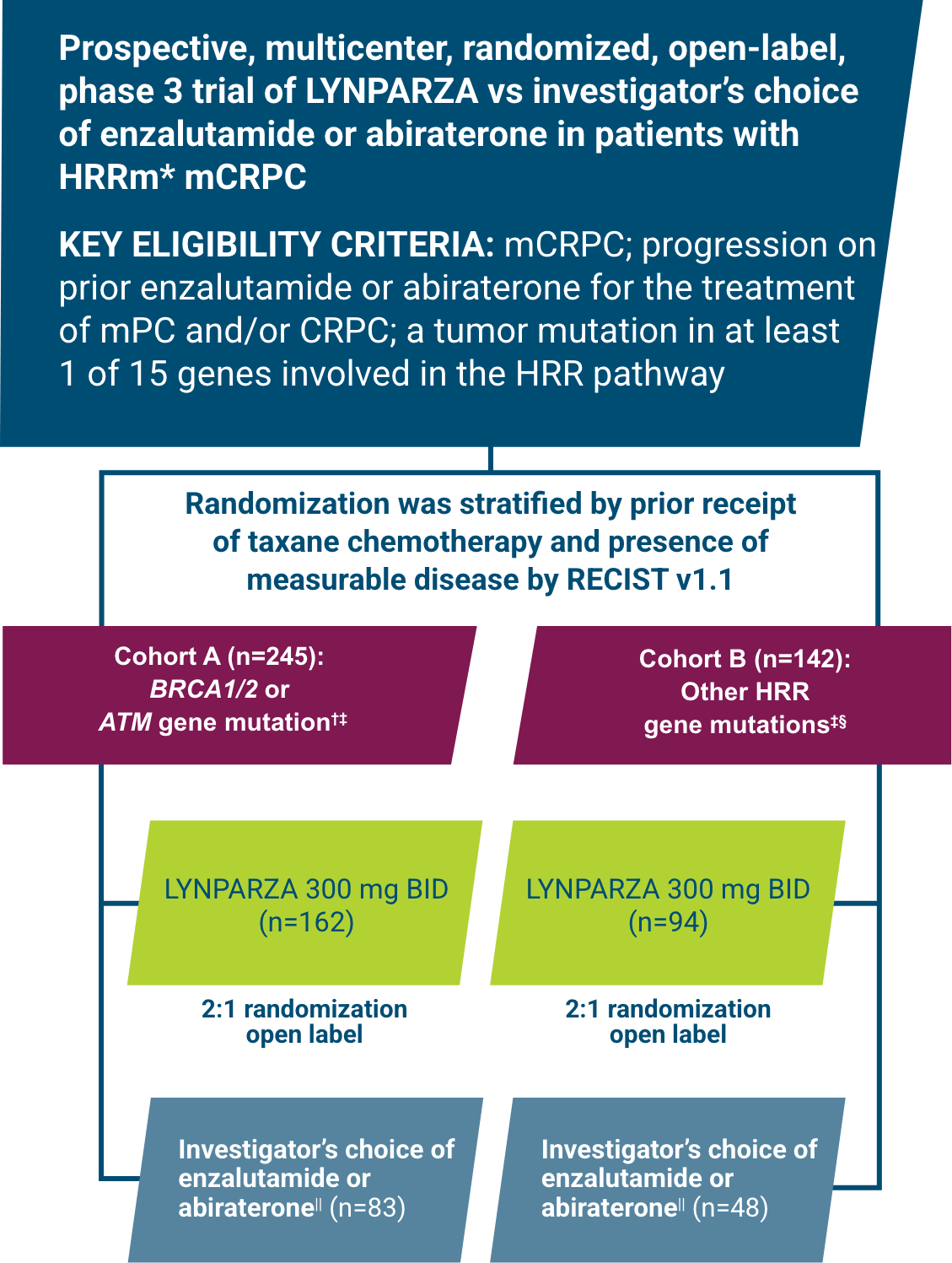 LYNPARZA Study Design PROfound Trial Chart