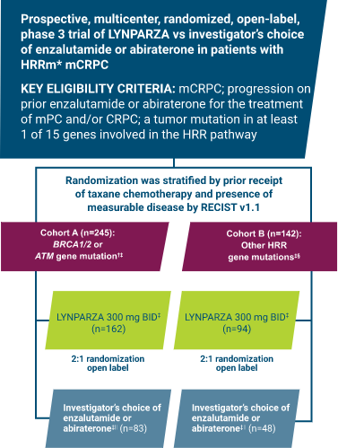LYNPARZA Study Design PROfound Trial Chart