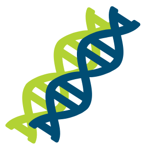 Image of DNA