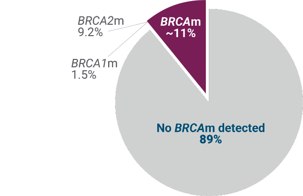 mCRPC Testing PROpel Trial Pie Chart