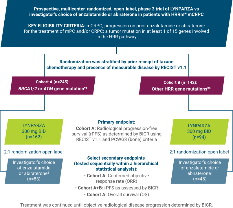 LYNPARZA Study Design PROfound Trial Chart